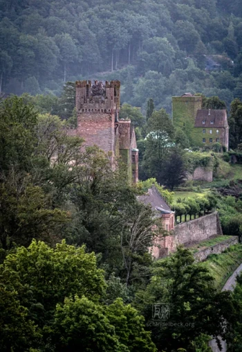 Neckarsteinach Burgen