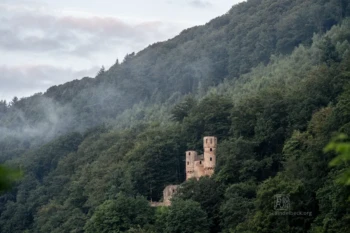 Neckarsteinach Burgen Schwalbennest