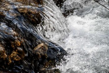 Wasser
