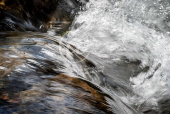 Wasser