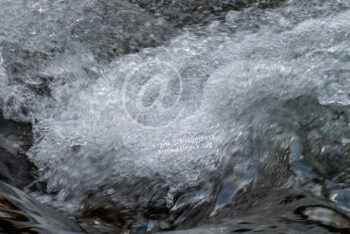 Wasser