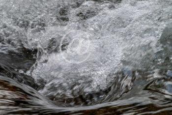 Wasser
