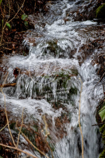 Wasser