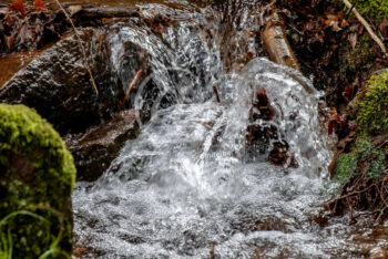 Wasser