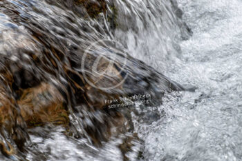 Wasser