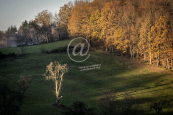 Odenwald Landschaft
