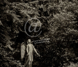 Bergfriedhof Heidelberg