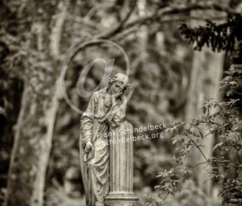 Bergfriedhof Heidelberg
