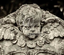 Bergfriedhof Heidelberg
