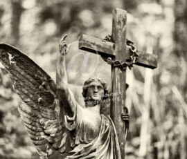 Bergfriedhof Heidelberg