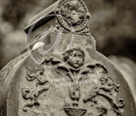 Bergfriedhof Heidelberg