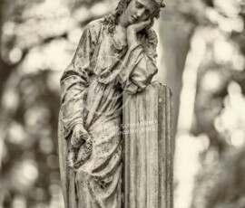 Bergfriedhof Heidelberg