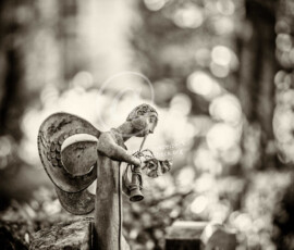 Bergfriedhof Heidelberg
