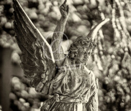 Bergfriedhof Heidelberg