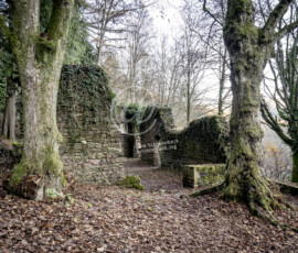 Lichtenklingen Odenwald