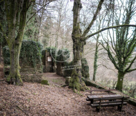 Lichtenklingen Odenwald