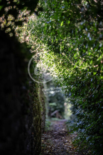 Natur