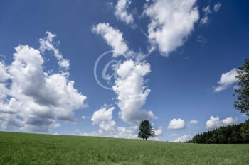 Odenwald Landschaft