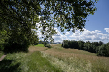 Odenwald Landschaft