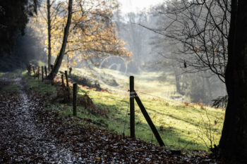 Odenwald Landschaft