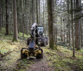Holzwirtschaft Maschine