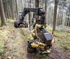Holzwirtschaft Maschine