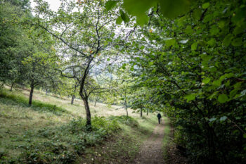 Odenwald Landschaft