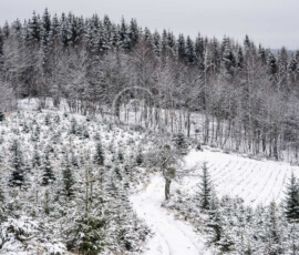 Winterlandschaft