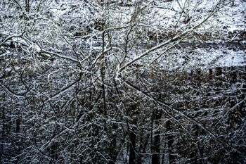 Winter Schnee See