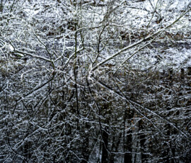 Winter Schnee See