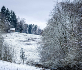 Winterlandschaft mit Pferd