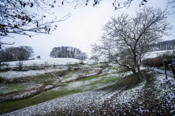 Winterlandschaft