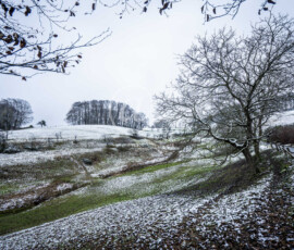 Winterlandschaft