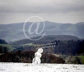 Schneemann