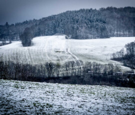 Winterlandschaft