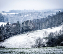 Winterlandschaft