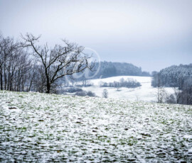 Winterlandschaft