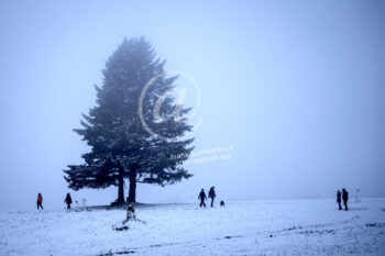 Winter Baum Menschen