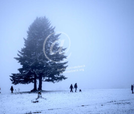 Winter Baum Menschen