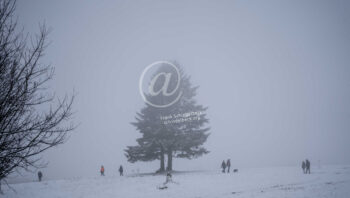 Winter Baum Menschen