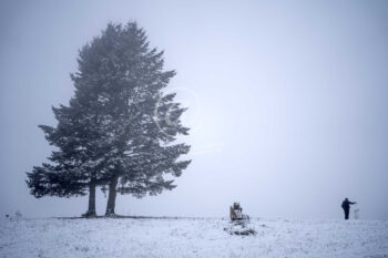 Winter Baum