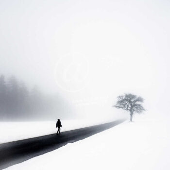 Winter Wanderer