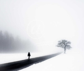 Winter Wanderer