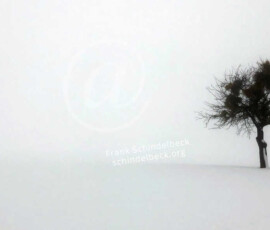 Winter Baum