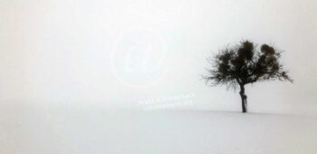 Winter Baum