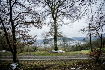 Odenwald Landschaft