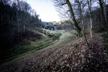Odenwald Landschaft
